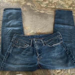 Levi's Men's Blue Skinny Stretch Jeans